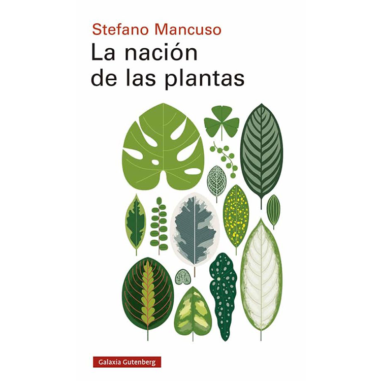 Libro la nación de las plantas por Stefano Mancuso